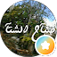محمد الطرفاوي